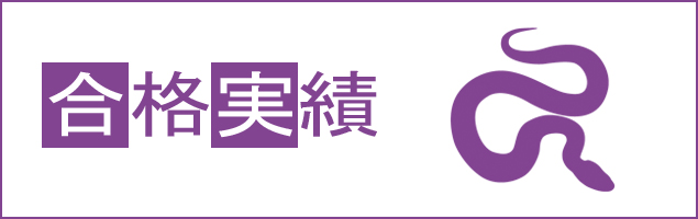 2013年度実績